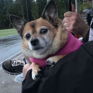 Meet your Posher, Megan